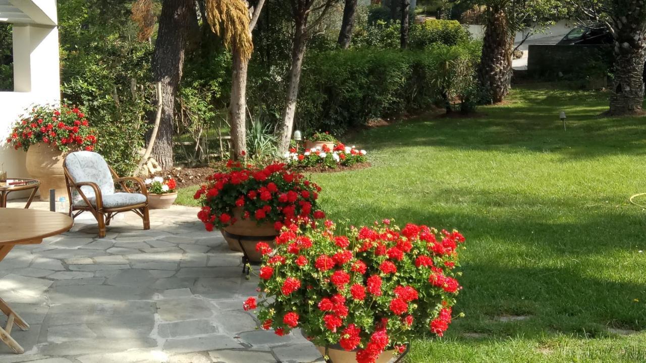 Sani Villa Maria Εξωτερικό φωτογραφία